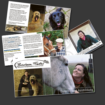 Flyer für Barbara Fiedler